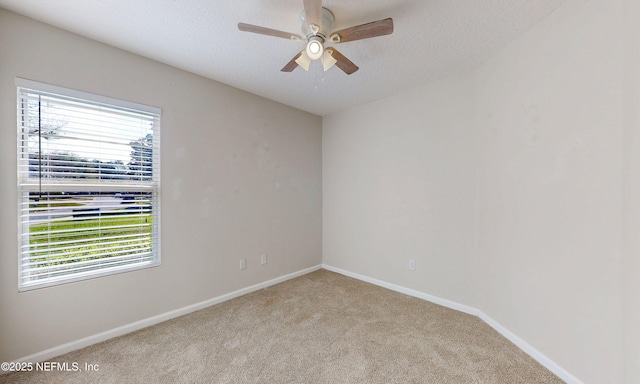 empty room featuring carpet, baseboards, ceiling fan, and a textured ceiling