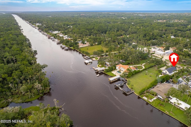 aerial view with a water view and a view of trees