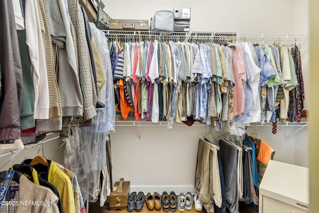 view of walk in closet