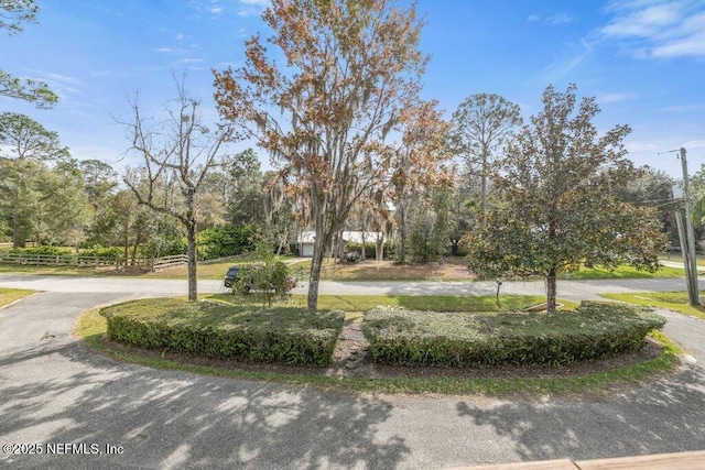 view of property's community featuring fence and curved driveway