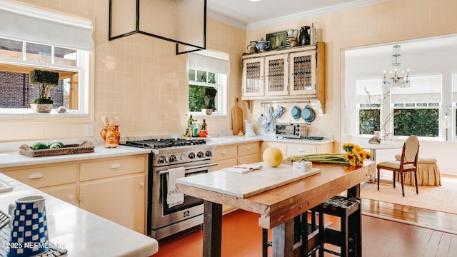 kitchen with tasteful backsplash, wood-type flooring, high end stainless steel range oven, light countertops, and crown molding