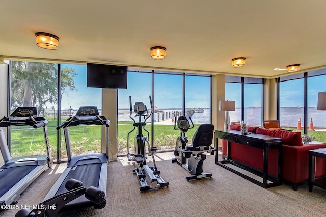 workout area featuring carpet floors and expansive windows