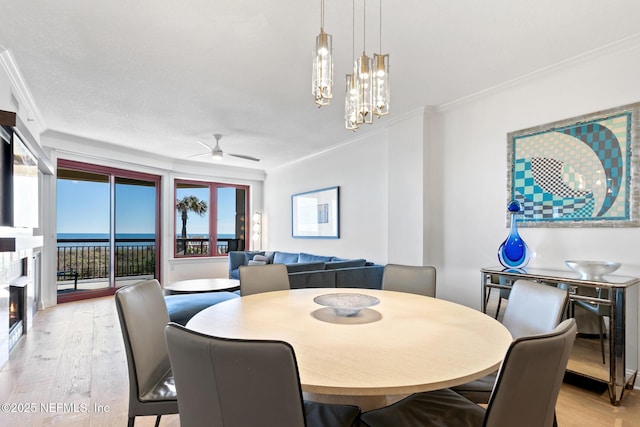 dining room featuring light wood-style flooring, a premium fireplace, ornamental molding, and ceiling fan with notable chandelier