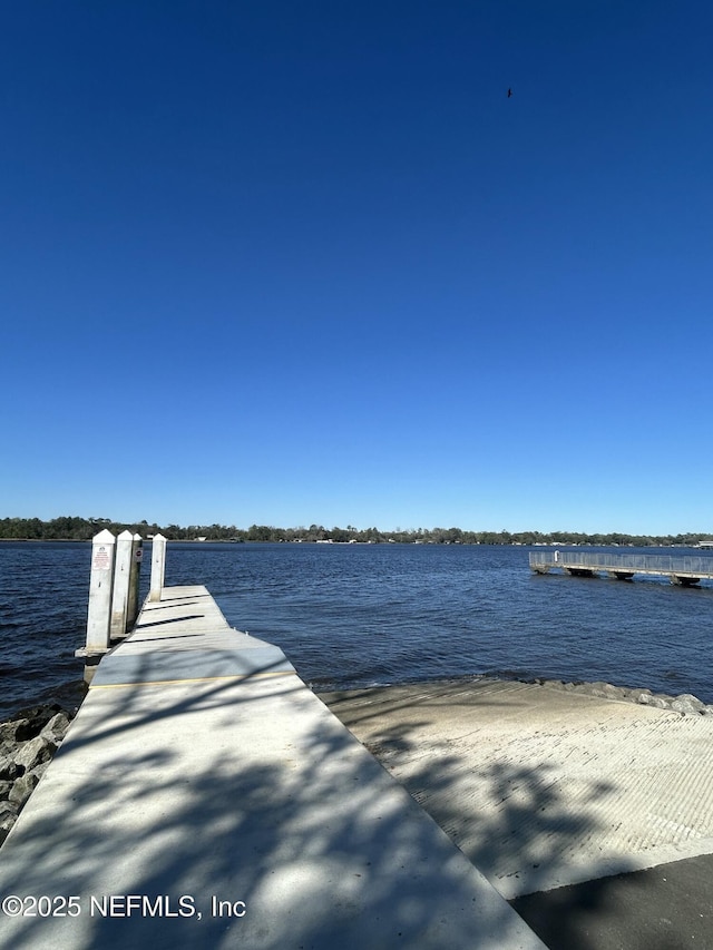 dock area with a water view