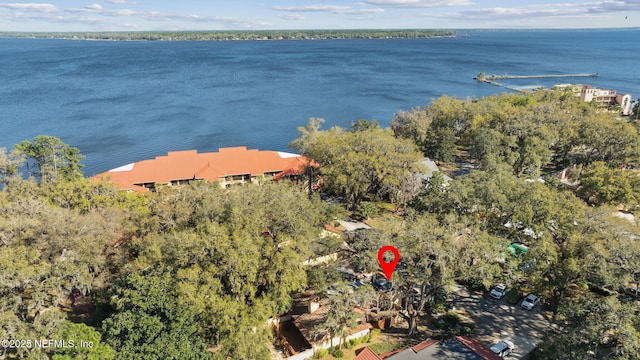 drone / aerial view featuring a water view