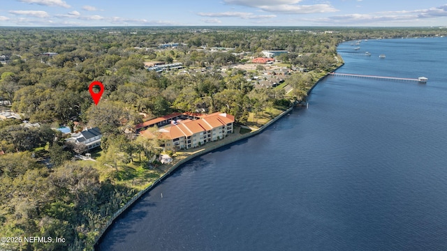 aerial view featuring a water view and a view of trees