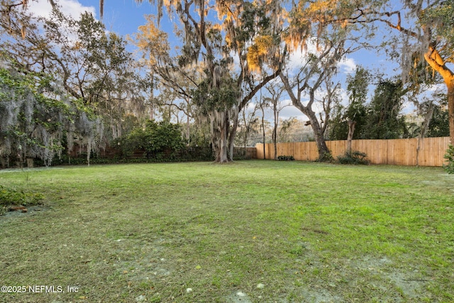 view of yard with a fenced backyard