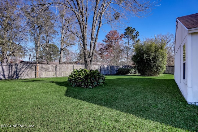 view of yard with a fenced backyard