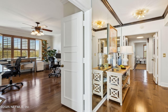 corridor featuring hardwood / wood-style flooring and crown molding