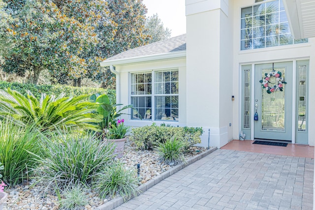 entrance to property featuring stucco siding and a shingled roof