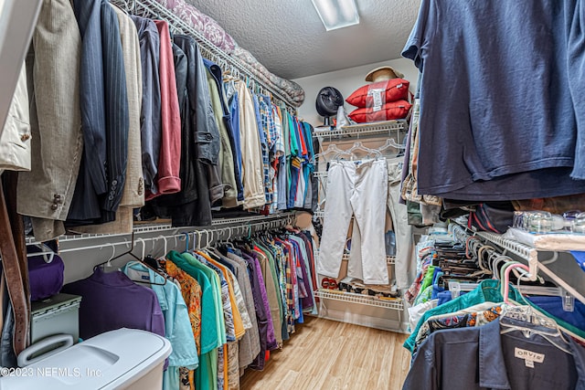walk in closet with wood finished floors