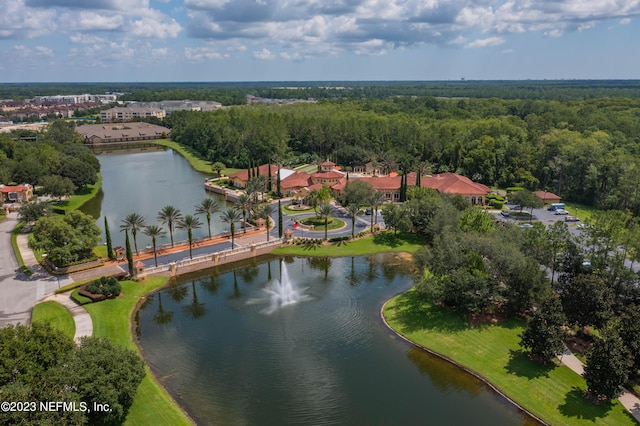 drone / aerial view featuring a forest view and a water view