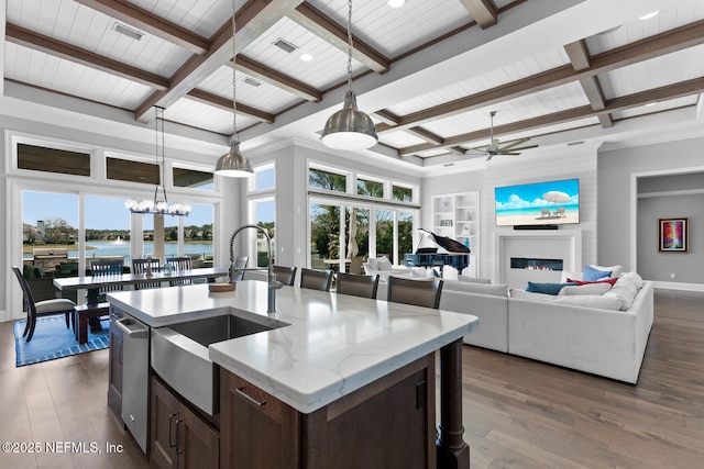 kitchen featuring dark wood-style floors, a glass covered fireplace, a healthy amount of sunlight, and dark brown cabinetry