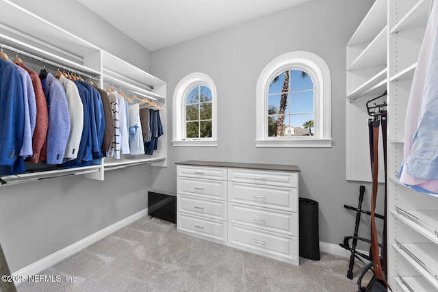 walk in closet featuring carpet floors