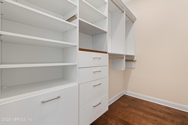 walk in closet with dark wood finished floors