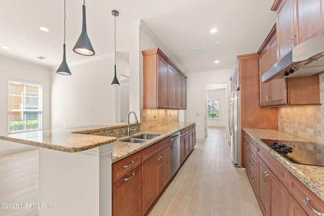 kitchen with under cabinet range hood, stainless steel appliances, a sink, light wood-style floors, and crown molding