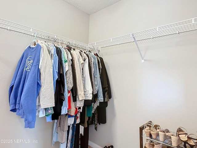 view of spacious closet