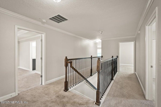 12198 Ridge Crossing Way, Jacksonville, FL 32226 - photo 23