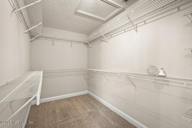 12198 Ridge Crossing Way, Jacksonville, FL 32226 - photo 38