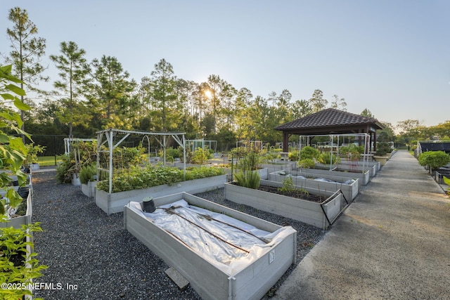 607 Caspia Ln, Ponte Vedra, FL 32081 - exterior space with a gazebo and a vegetable garden