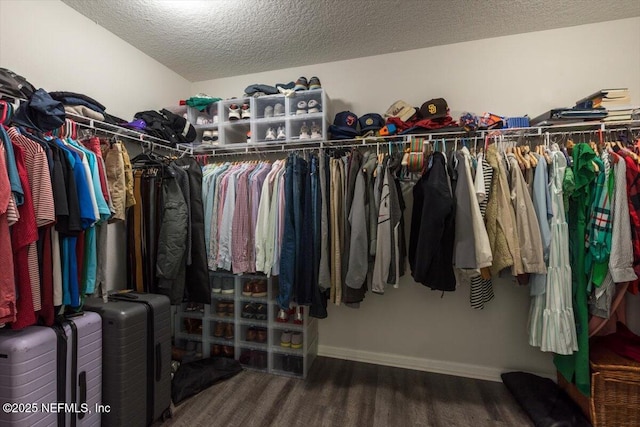 walk in closet featuring wood finished floors