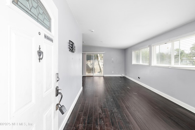 foyer featuring baseboards, a wealth of natural light, and wood finished floors