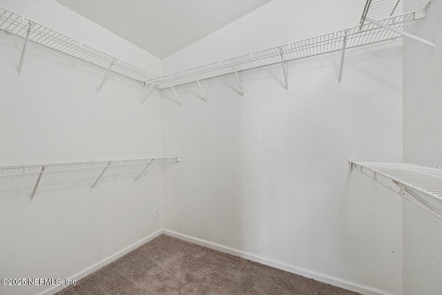 spacious closet with carpet flooring