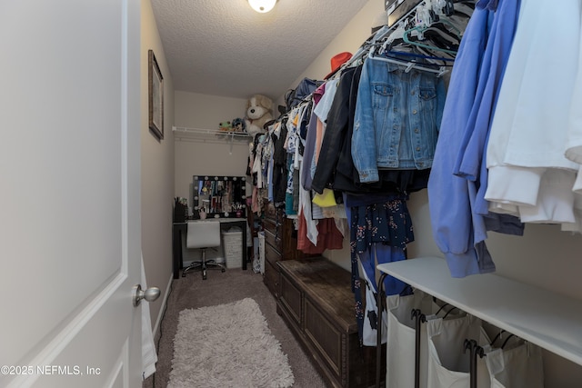 spacious closet featuring carpet floors