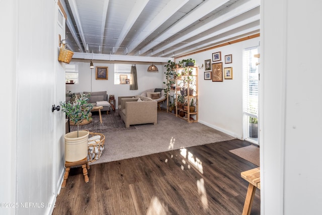 living area featuring baseboards, a wealth of natural light, and wood finished floors