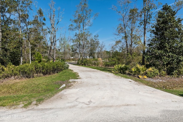 view of road