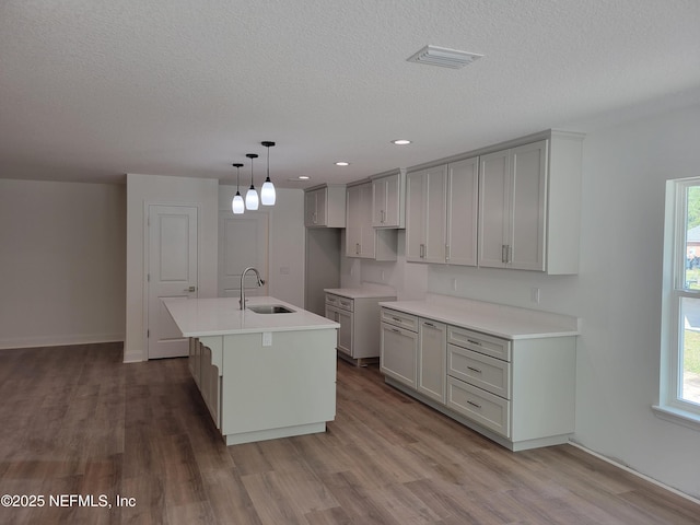 kitchen with a healthy amount of sunlight, an island with sink, wood finished floors, and a sink
