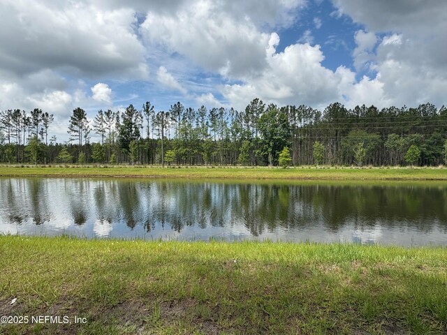 36263 Pitch Ln, Hilliard, FL 32046 - water view with a heavily wooded area