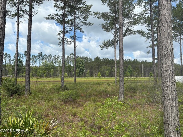 36263 Pitch Ln, Hilliard, FL 32046 - view of tree filled area