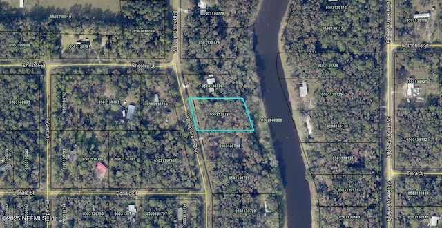 9710 W Deep Creek Blvd, Hastings FL, 32145 land for sale