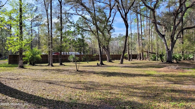 Listing photo 3 for 9710 W Deep Creek Blvd, Hastings FL 32145