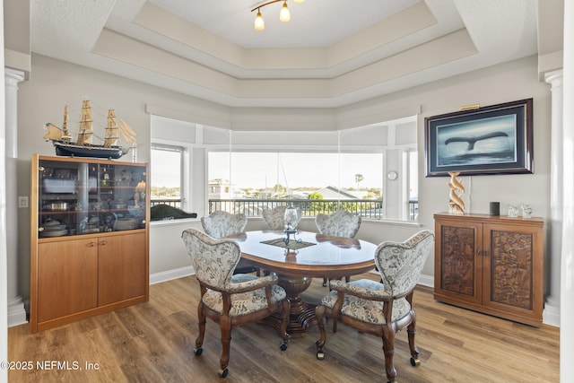 dining room with plenty of natural light, a tray ceiling, and decorative columns