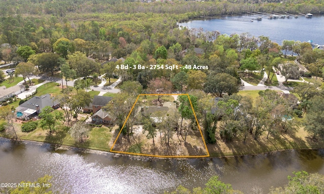 aerial view with a water view and a view of trees