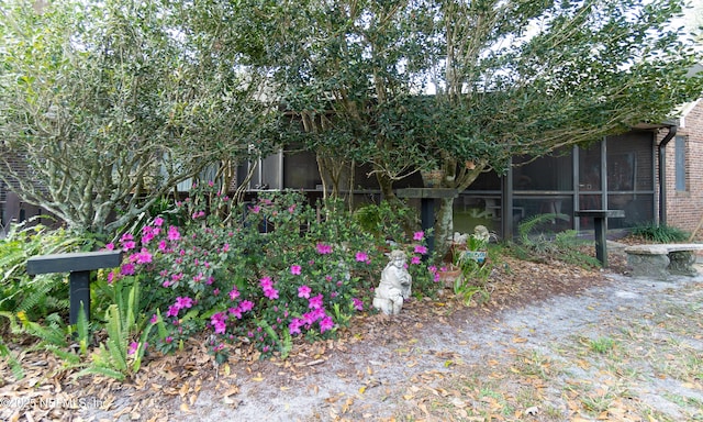 view of yard featuring a sunroom