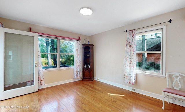 spare room featuring a healthy amount of sunlight, baseboards, and wood finished floors