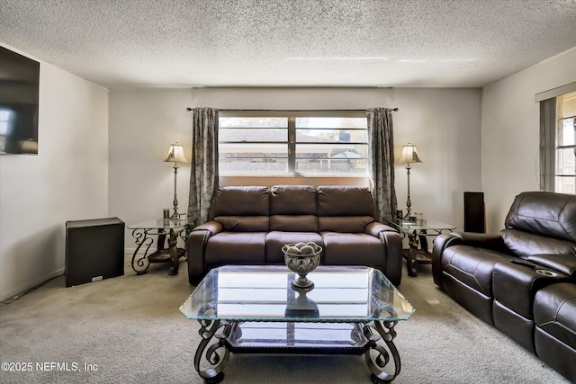 carpeted living area featuring a textured ceiling