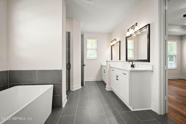 bathroom featuring a freestanding tub, a shower stall, a wealth of natural light, and vanity