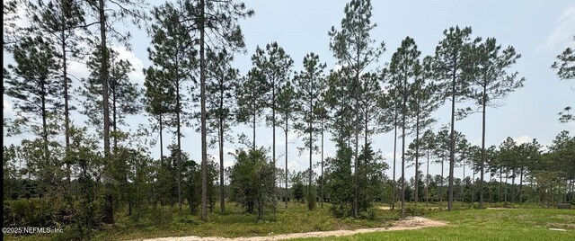 36215 Pitch Ln, Hilliard, FL 32046 - view of woods