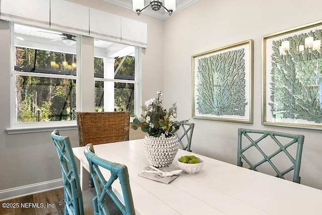 dining space with a wealth of natural light, baseboards, and wood finished floors