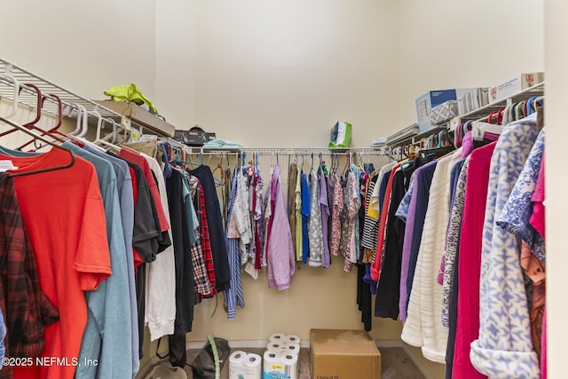 view of spacious closet