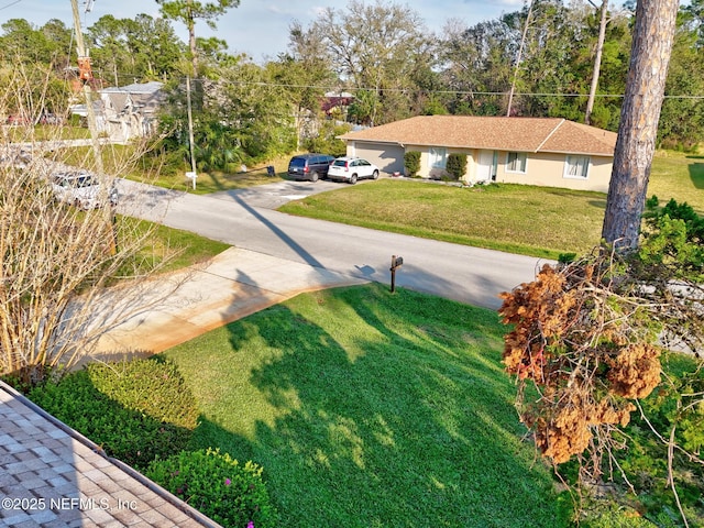 view of yard featuring concrete driveway