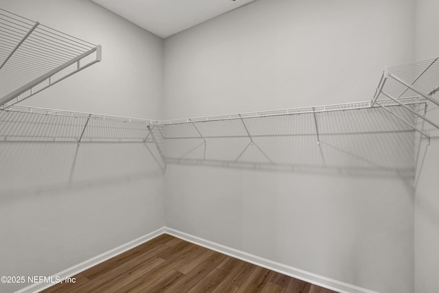 4484 Sun Garden Dr, Jacksonville, FL 32257 - spacious closet featuring dark wood finished floors