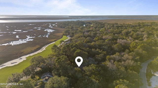 birds eye view of property with a view of trees and a water view