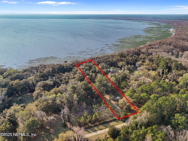 bird's eye view featuring a water view and a view of trees