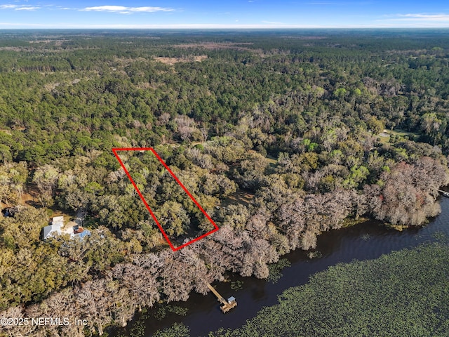 birds eye view of property featuring a water view and a forest view