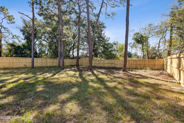 view of yard featuring a fenced backyard